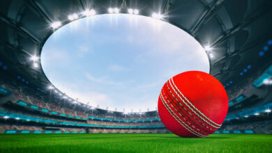 cricket betting: Magnificent outdoor stadium with a cricket ball on the green lawn of the field with spectators on the stands. Professional world sport 3D illustration background.